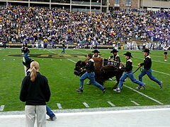 Thumbnail image for College Game Day Traditions